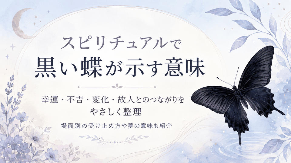 淡い月夜と草花の中に黒い蝶を描き、幸運・不吉・変化・故人とのつながりなど主な意味を示した表紙