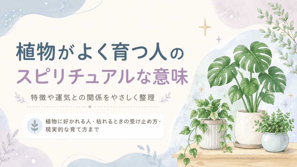 観葉植物とともに、植物がよく育つ人のスピリチュアルな意味や特徴、運気との関係を示した表紙