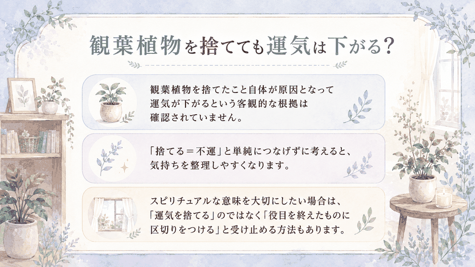 観葉植物を捨てても運気が下がる根拠は確認されていないことを説明