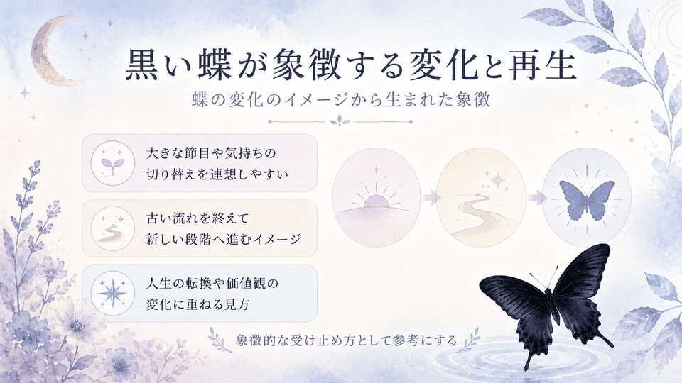 黒い蝶と月夜、道や光のモチーフで、変化や再生、新しい段階へ進む象徴的な受け止め方を整理した内容