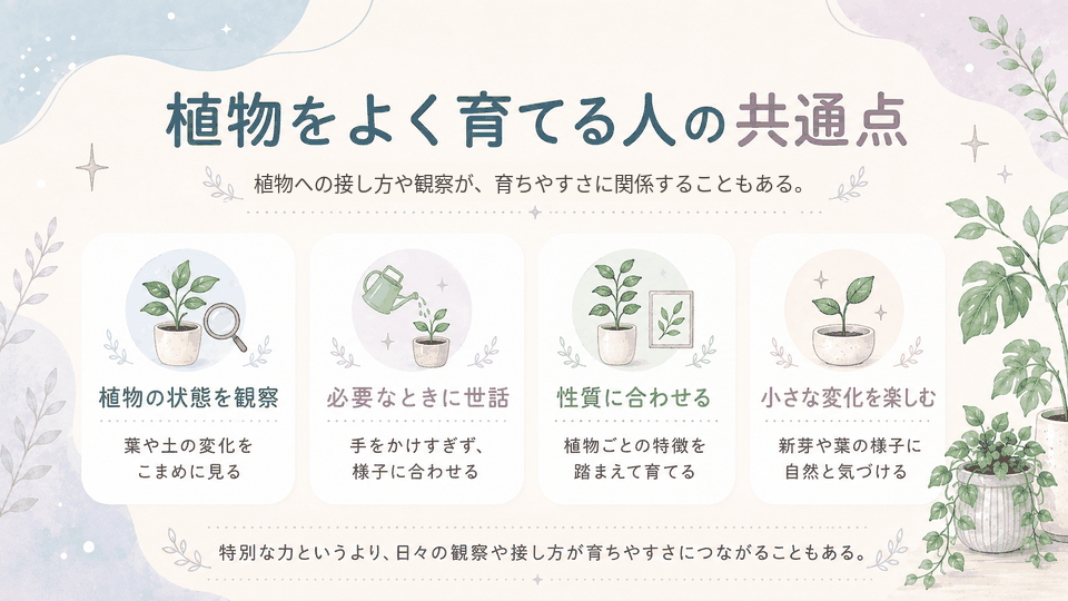 植物の状態を観察し、世話をしすぎず、植物ごとの性質に合わせながら小さな変化を楽しむ人の共通点