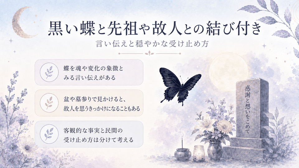 月夜と墓参りをイメージした情景で、黒い蝶と先祖や故人にまつわる伝承と穏やかな受け止め方を示した内容