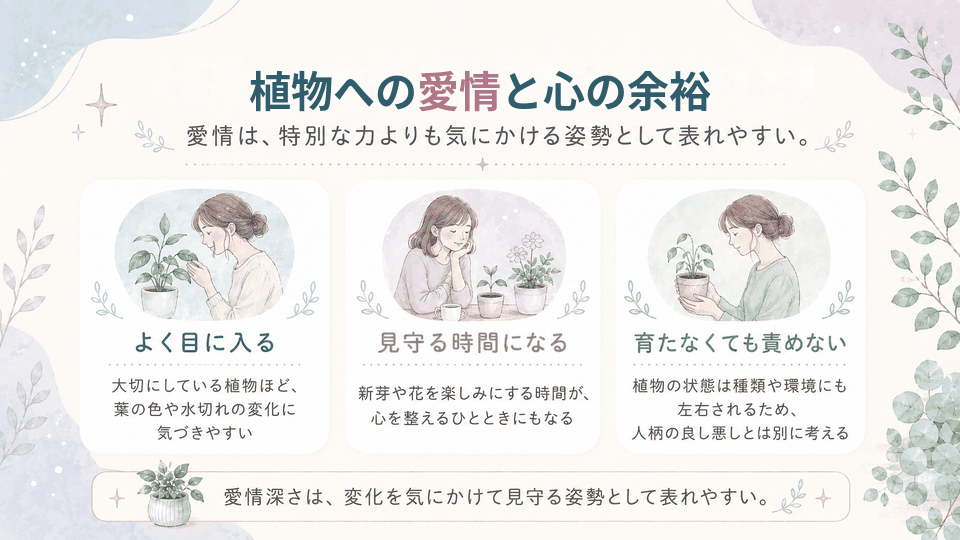 植物をよく見て小さな変化に気づき、長く見守ることと愛情や心の余裕との関係を整理