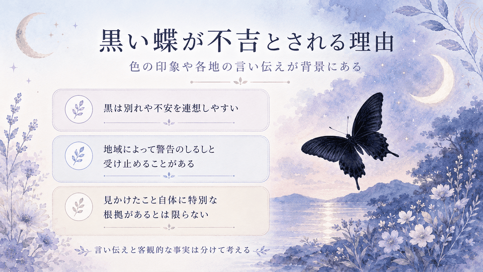 月夜の黒い蝶とともに、黒色のイメージや地域の俗信、不吉とされる背景と客観的な見方を整理した内容
