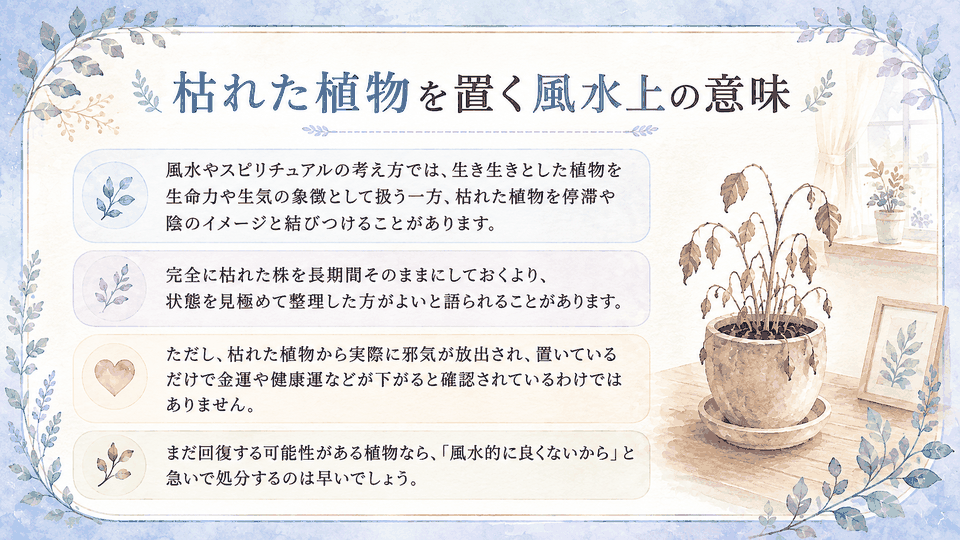 枯れた植物を停滞や陰のイメージと結びつける風水上の見方