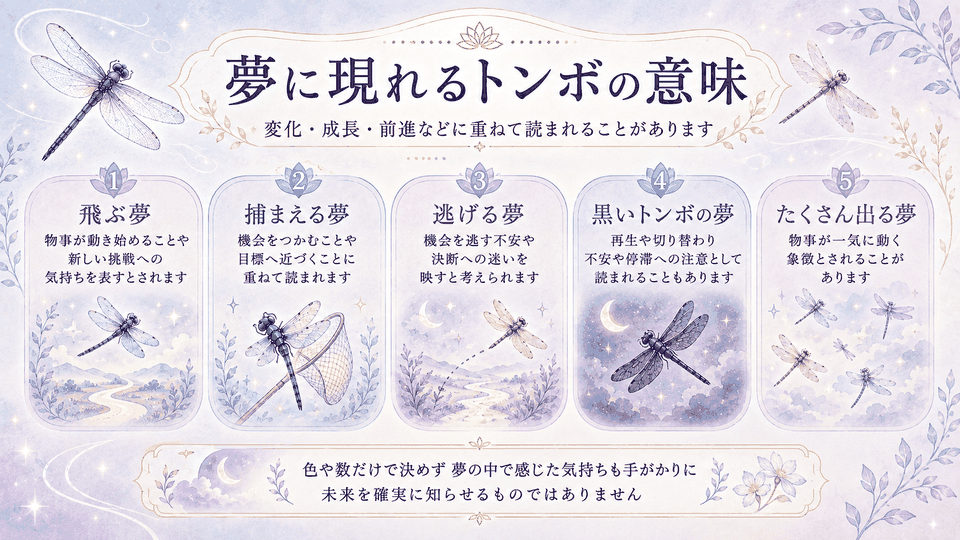 飛ぶ、捕まえる、逃げる、黒いトンボ、多くのトンボが出る夢について、意味の違いを整理した図解