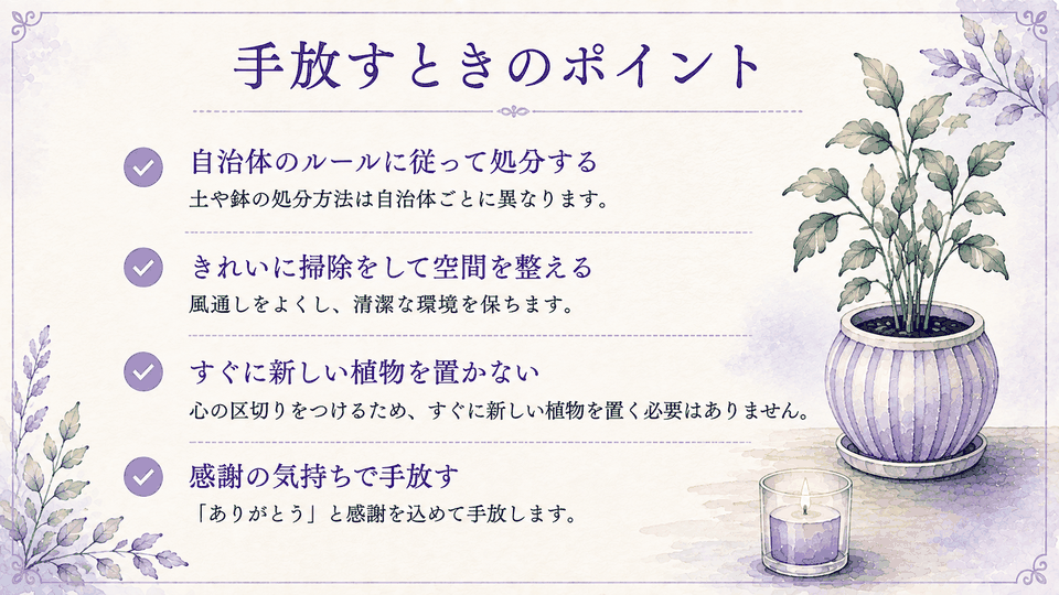 観葉植物を手放すときの自治体ルール、掃除、感謝などのポイント