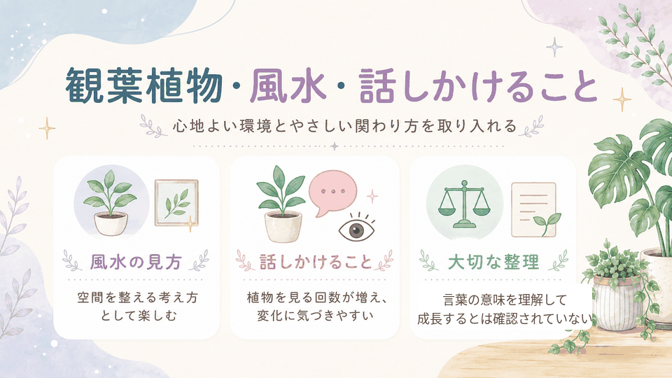 観葉植物を風水として楽しむ考え方と、植物に話しかけることで変化に気づきやすくなる点、言葉の意味と成長の違いを整理