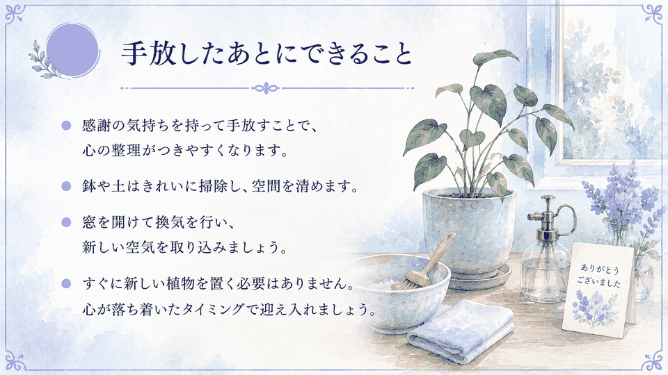 観葉植物を手放した後に掃除や換気を行い、次の植物を急がず考えるポイント