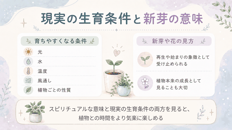 植物が育ちやすい光、水、温度、風通しなどの条件と、新芽や花を再生や始まりの象徴として楽しむ見方